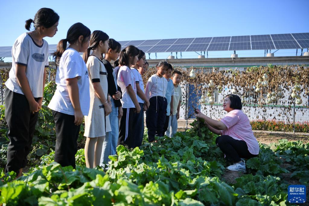 信誉游戏服务网
